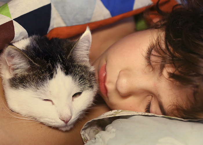 Why Autistic People Love Cats