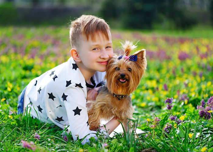 What is the Best Pet for an Autistic Child?